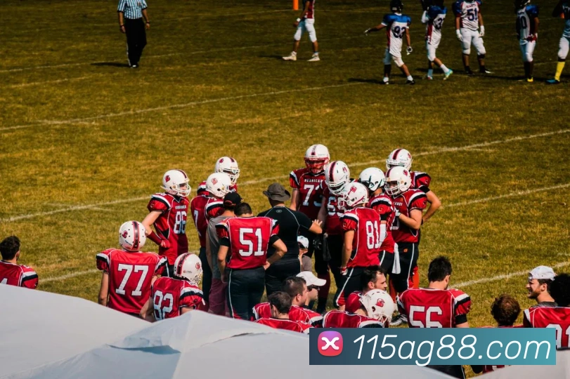 k8凯发天生赢家官网平台生态图
